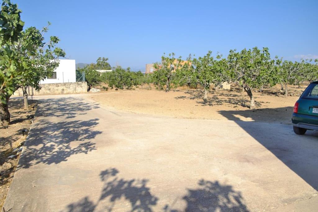 Nick'S House Villa Aegina Dış mekan fotoğraf